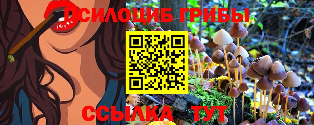 купить закладку  Вход с VPN  Можайск  Псилоцибиновые грибы MAGIC MUSHROOMS 